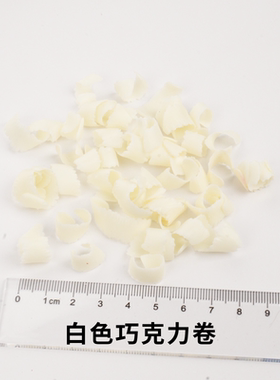 生日蛋糕仿真模型样品模具假水果配件白色咖啡色巧克力刨花碎皮卷