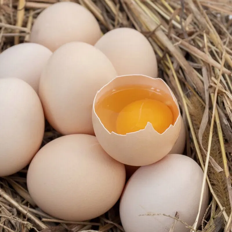 【土鸡蛋礼盒】助农色凤堰秦岭山林散养蛋礼盒福利送礼新日期陕西,淘宝优惠券,粉丝福利购,淘宝优惠卷