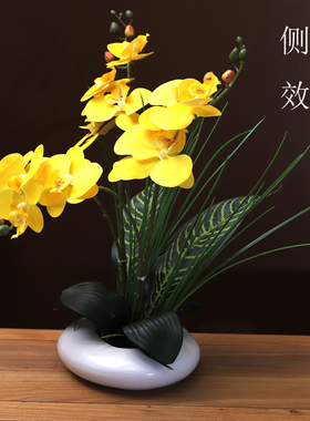 蝴蝶兰餐桌电视柜茶几花瓶+花
