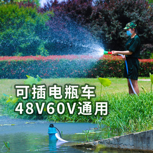 水泵农用灌溉直流潜水泵电动车48v60v高扬程抽水泵无刷电瓶抽水机 - 图1