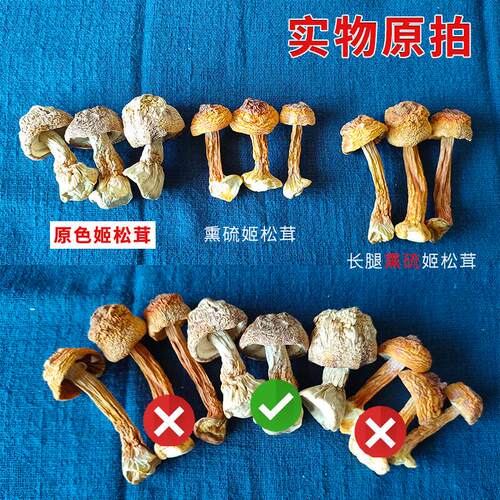 姬松茸干货 500g 云南特产无硫巴西菇食用野生菌菇松茸搭配羊肚菌 - 图0
