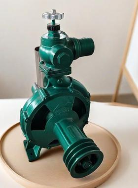 3寸高扬程喷灌泵园林绿化农田灌溉抽水泵