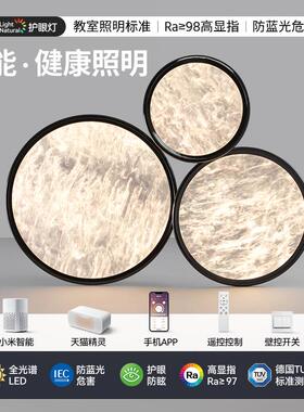 云雾客厅吸顶灯现代简约大厅主灯2024新款高级感中山灯具全屋套餐