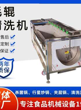 U型全自动毛辊清洗机芋头土豆清洗去皮机猪蹄毛刷清洗设备佳鸿