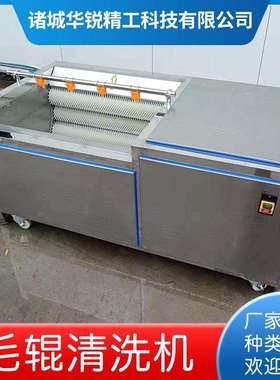 大型红薯土豆毛滚去皮机根茎类清洗去泥机商用花生毛滚清洗机