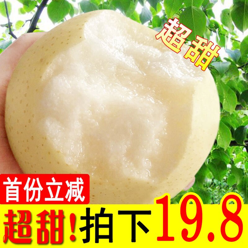 河北正宗皇冠梨新鲜雪梨5斤梨子新鲜10水果包邮当季整箱