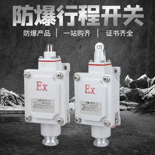 LX5防爆行程限位开关DLXK脚踏Z/L/B/D/H/N型隔爆滚轮单双臂BZX51 - 图2