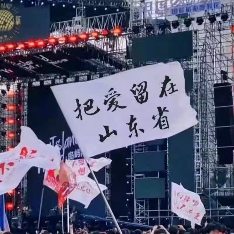 音乐节旗帜定制摇滚旗子定做我梦寐以求是真爱和自由痛仰演唱会应援旗大旗订制logo打卡 - 图1