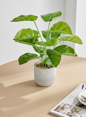北欧简约仿真绿植盆栽桌面摆件