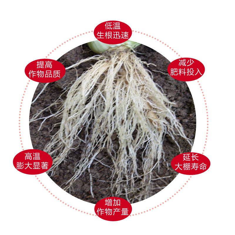 喷雾氨基酸肥鱼蛋白叶面生根壮苗剂微生物微量元素高钙高钾水溶肥_虎窝淘
