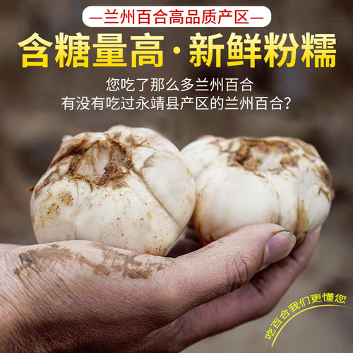 兰州新鲜甜百合2斤食用新鲜百合无硫食用百合助农甘肃土特产包邮 - 图1