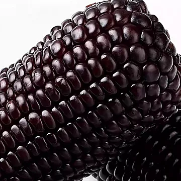 【禹稷芳华】黑/黄糯玉米1.3kg[19元优惠券]-寻折猪