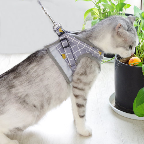 猫咪牵引绳猫绳防挣脱猫绳子背心式溜猫绳子猫咪外出专用遛猫绳子 - 图2