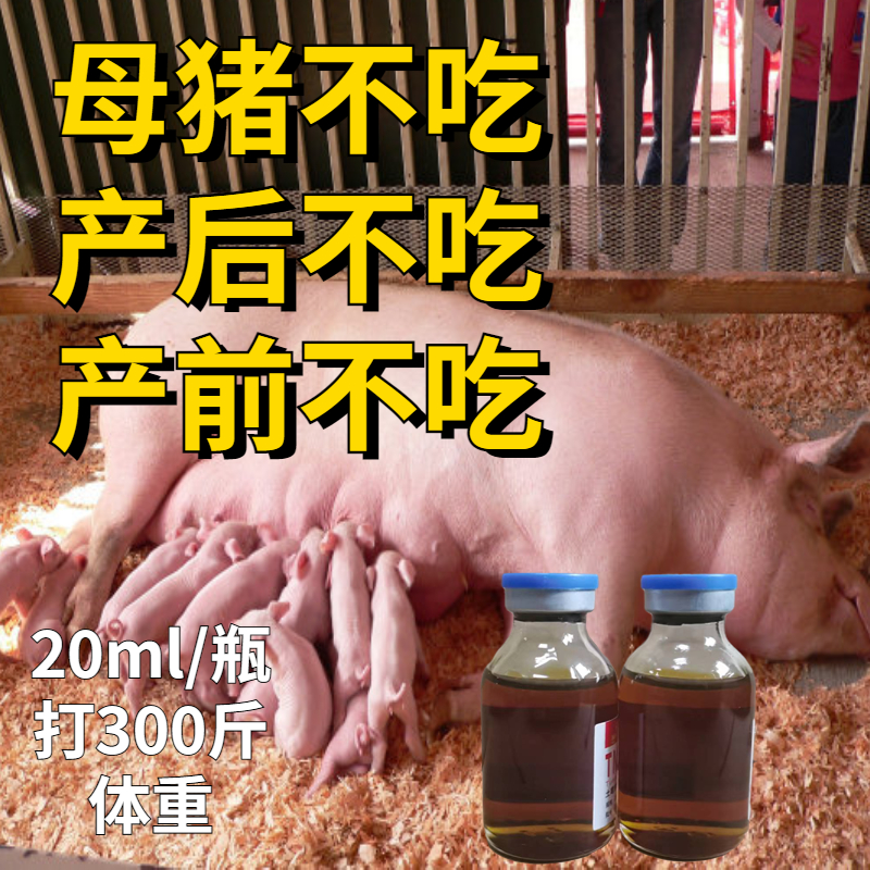 母猪不吃产后不吃怀孕厌食母畜血毒清畜禽厌食用体温正常不食 - 图0