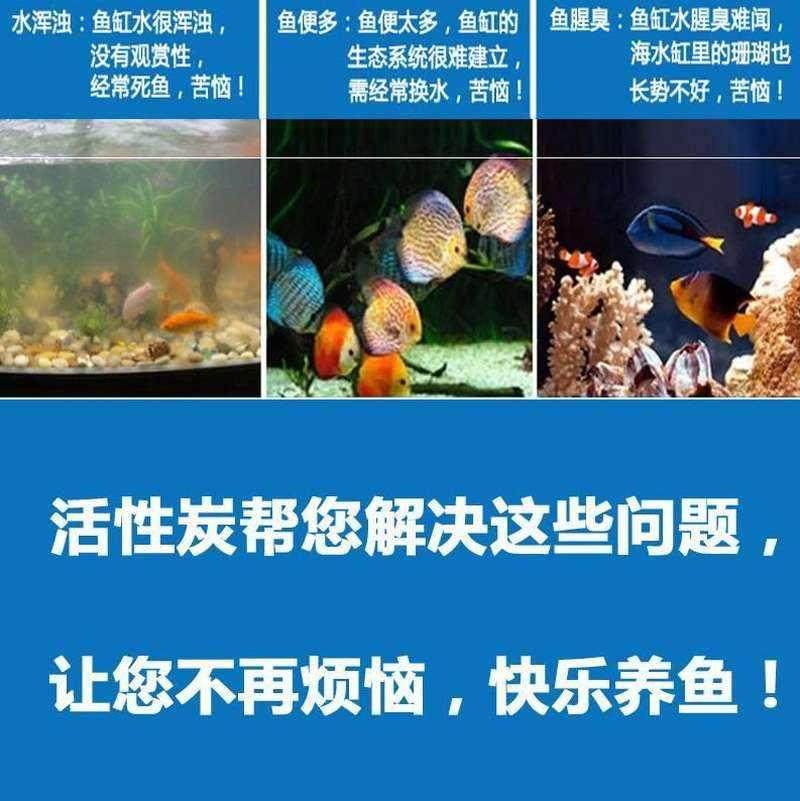 鱼缸 不打孔改底滤上滤过滤净化水质石下配件大全下系统家用 - 图1