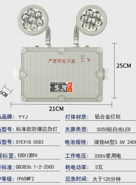 防爆应急灯照明消防led标志疏散牌双头应急灯E防爆安全出口指示灯