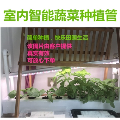 水耕菜架 新人首单立减十元 21年8月 淘宝海外