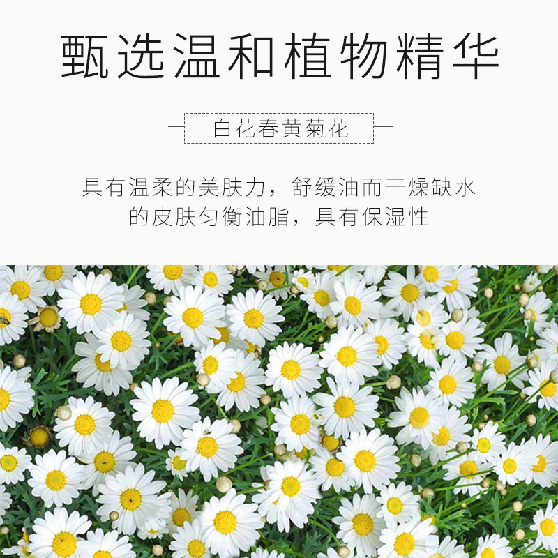 采词洋甘菊护手霜女嫩肤补水保湿秋冬夏季不油腻小甘菊-图0