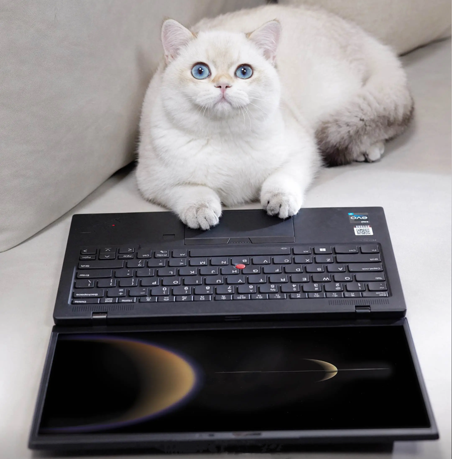 联想ThinkPad P53 P73 P16S P16V P1 P15V P14S 独显笔记本电脑 - 图2