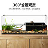 Back filter ecological turtle tank