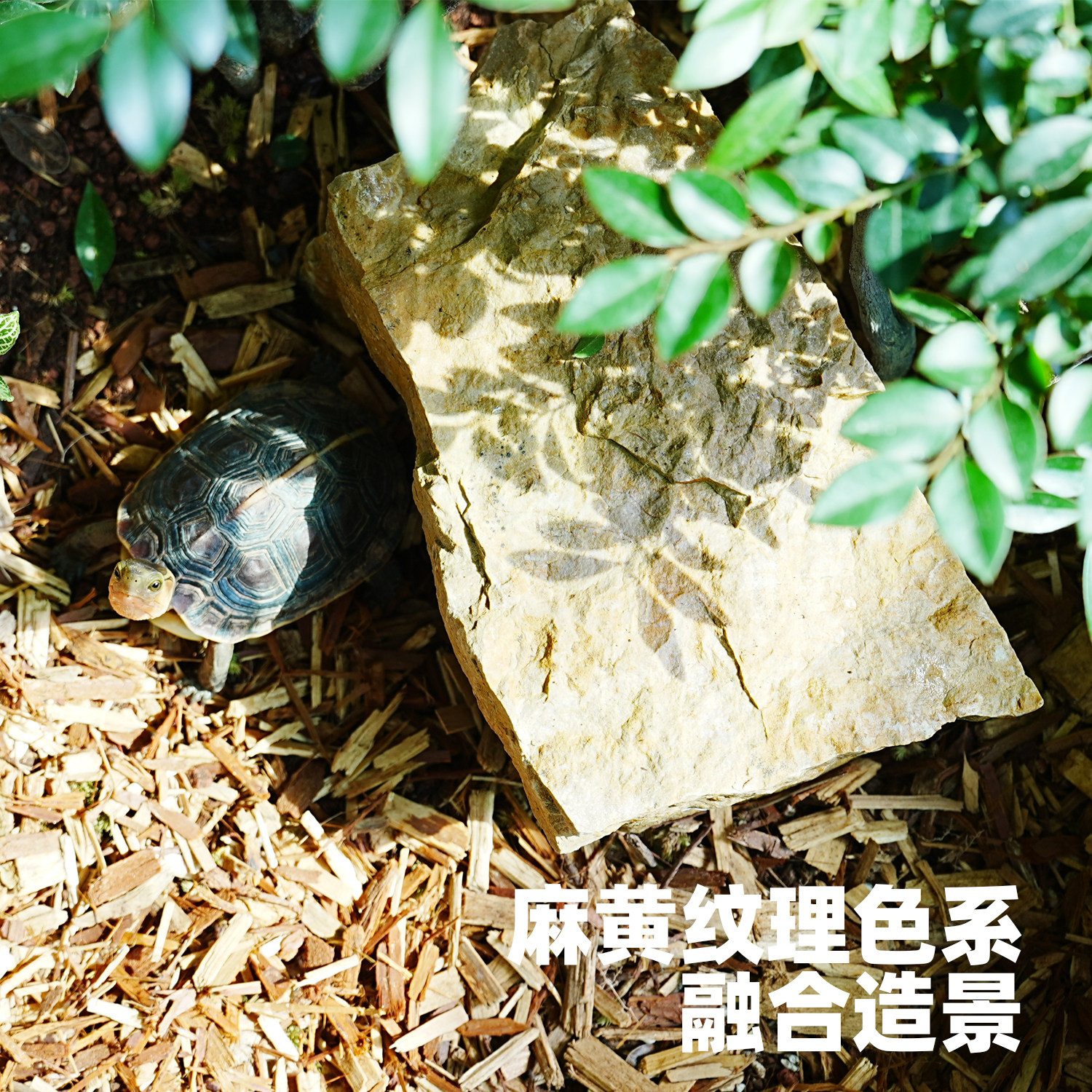 乌龟专用天然石头晒背爬台爬宠蜥蜴黄缘躲避洞屋龟缸造景装饰用品,淘宝优惠券,粉丝福利购,淘宝优惠卷