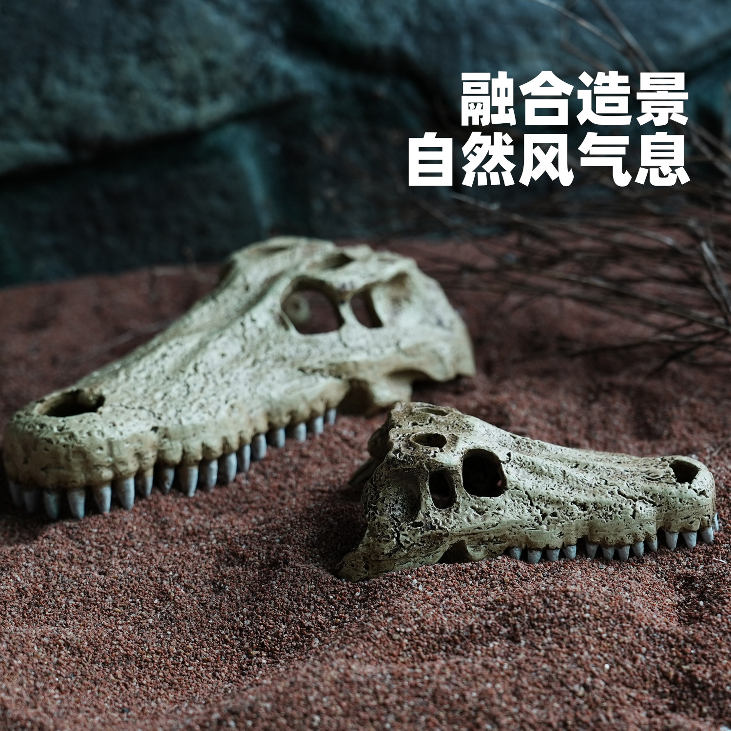 爬宠专用头骨躲避洞屋守宫蜥蜴蜘蛛蛇饲养箱鱼缸水族造景装饰摆件,淘宝优惠券,粉丝福利购,淘宝优惠卷