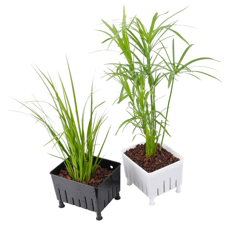 乌龟缸鱼缸水培植物盒固定器绿植隔离定植篮支架生态造景装饰配件,淘宝优惠券,粉丝福利购,淘宝优惠卷