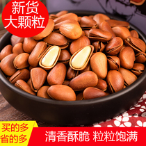 2023 New goods Northeastern pine nuts 500g nuts dried fruits Bulk Zero food production grade large grain Openings Fried Stock Red Pine