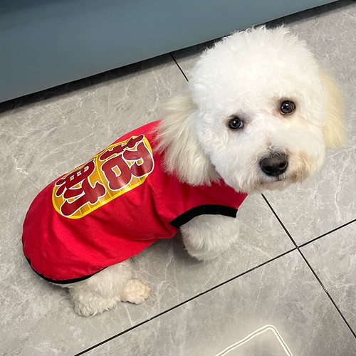 Три -летний магазин шесть размеров кошек, празднующих собак Тедди Тедди осенью и зимней одеждой, маленький собачье питомец Bomei 2023 Новый Bien Bears Puppy Новый год