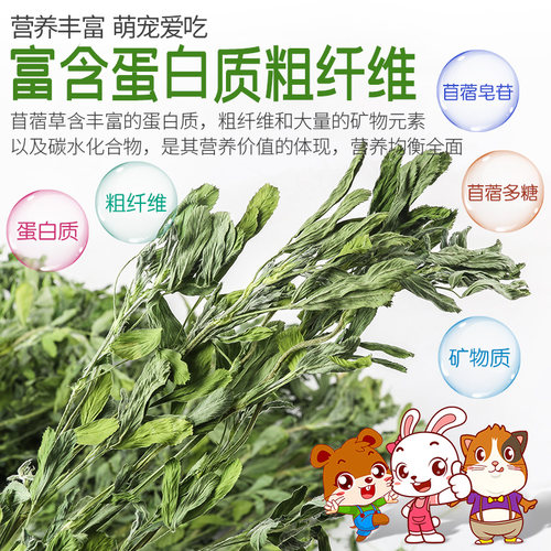 兔子草料紫花苜蓿草干草龙猫粮食牧草荷兰猪饲料兔粮幼兔兔吃的 - 图1