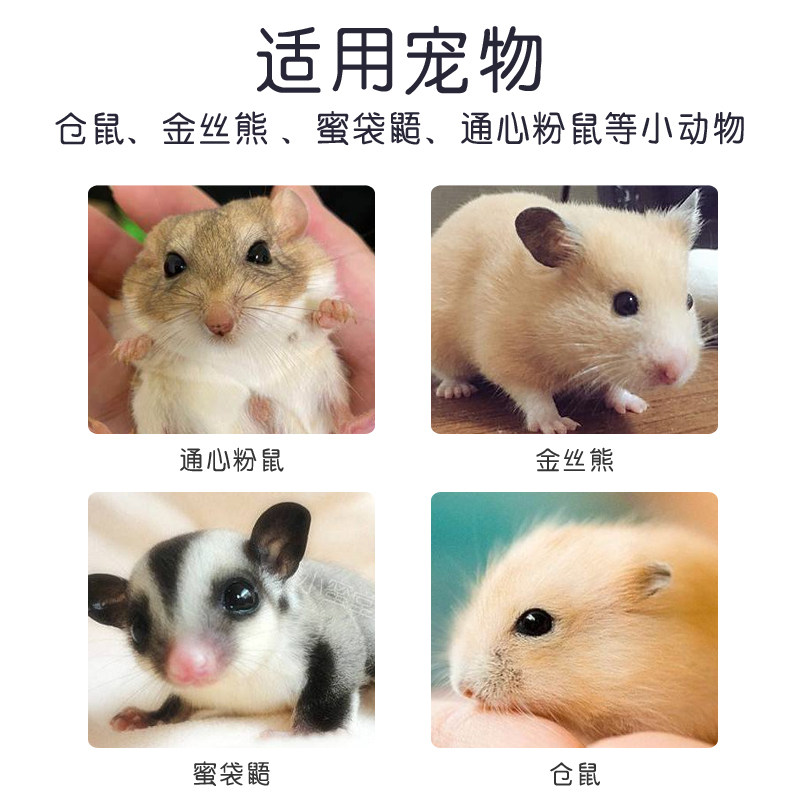 小仓鼠金丝熊专用厕所便尿砂沙盆盒的浴室拉屎洗澡除臭两用品大号,淘宝优惠券,粉丝福利购,淘宝优惠卷