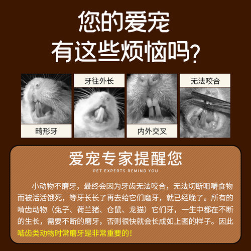 包邮龙猫兔子磨牙用品营养零食胡萝卜草棒草饼荷兰猪磨牙棒 - 图1