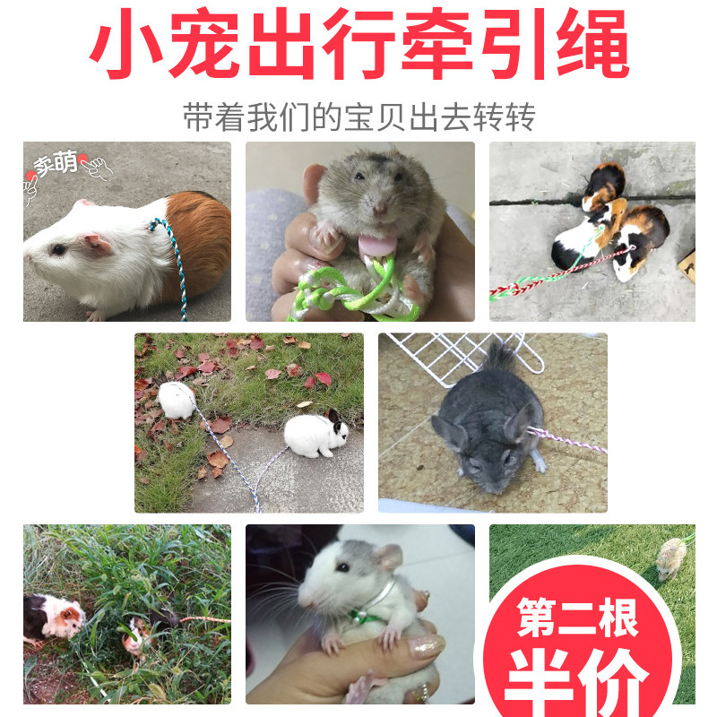 豚鼠荷兰猪牵引绳专用仓鼠松鼠兔子外出带溜宠物防挣脱牵引绳衣服,淘宝优惠券,粉丝福利购,淘宝优惠卷