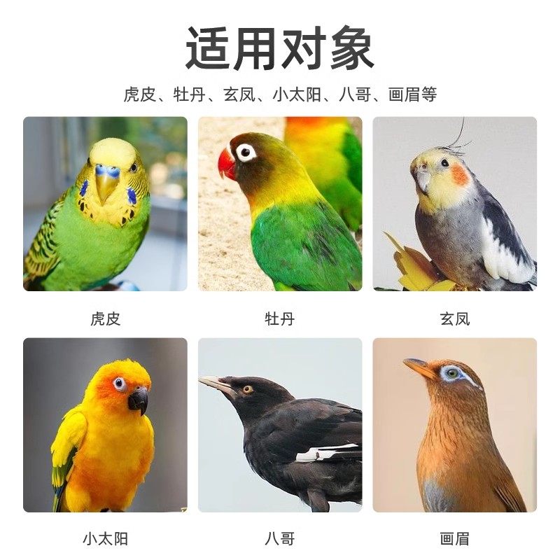 鹦鹉用品鸟笼配件大全绣眼画眉装饰组装配件洗澡房草窝饮水喂食器,淘宝优惠券,粉丝福利购,淘宝优惠卷