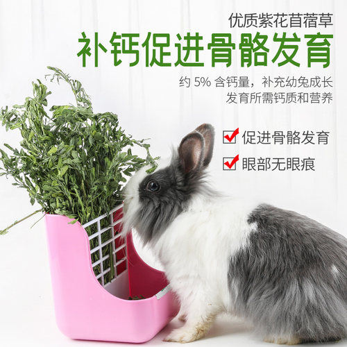 兔子草料紫花苜蓿草干草龙猫粮食牧草荷兰猪饲料兔粮幼兔兔吃的 - 图3