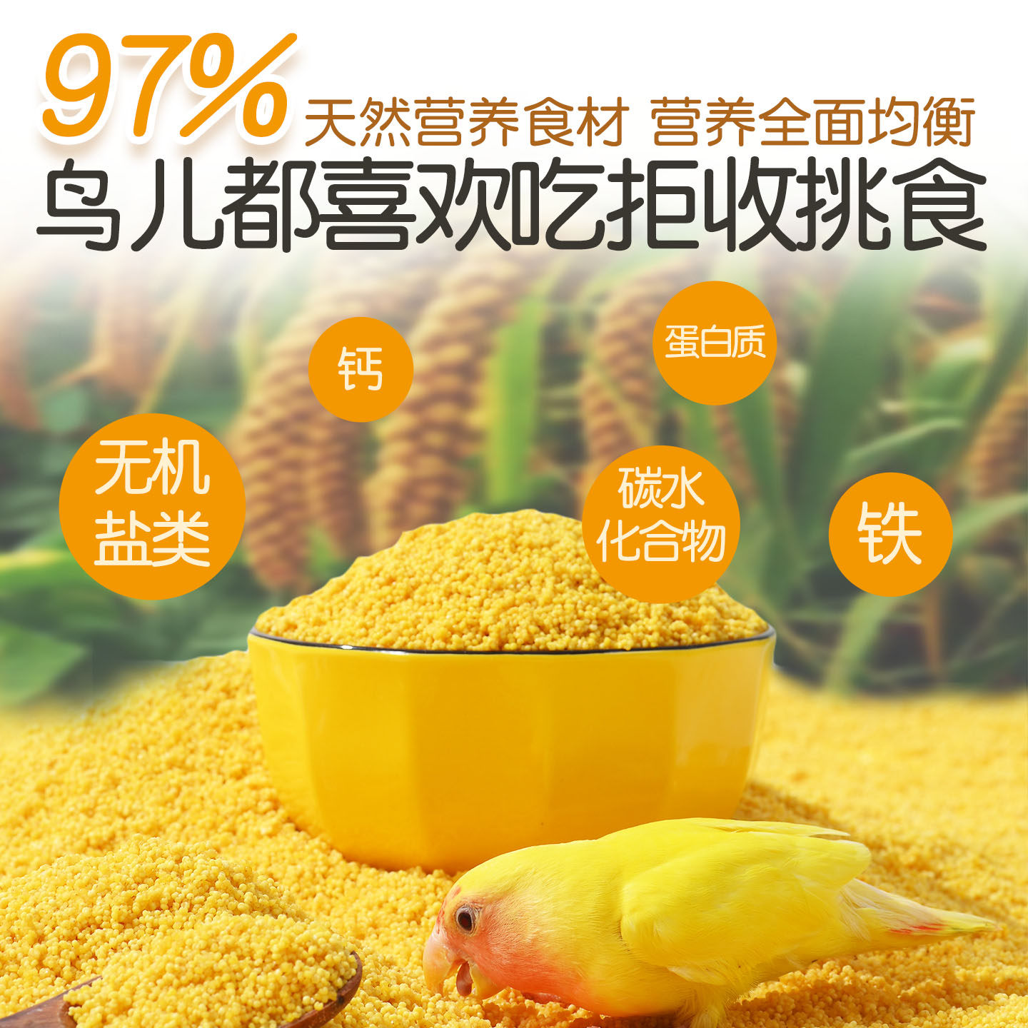 蛋小米鹦鹉鸟粮断奶期牡丹虎皮珍珠专用饲料谷子繁殖增肥营养鸟食,淘宝优惠券,粉丝福利购,淘宝优惠卷