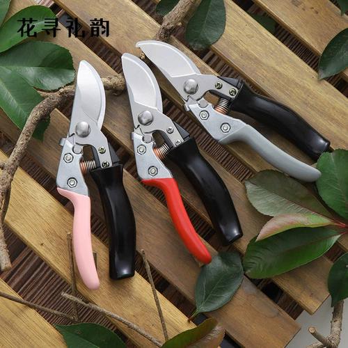 花寻礼韵 Ножницы для садоводства, филиалы, обрезка и обрезка ножницы цветочного искусства из нержавеющей стали, чтобы обрезать ветви