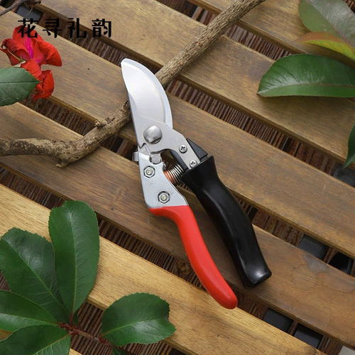 花寻礼韵 Ножницы для садоводства, филиалы, обрезка и обрезка ножницы цветочного искусства из нержавеющей стали, чтобы обрезать ветви