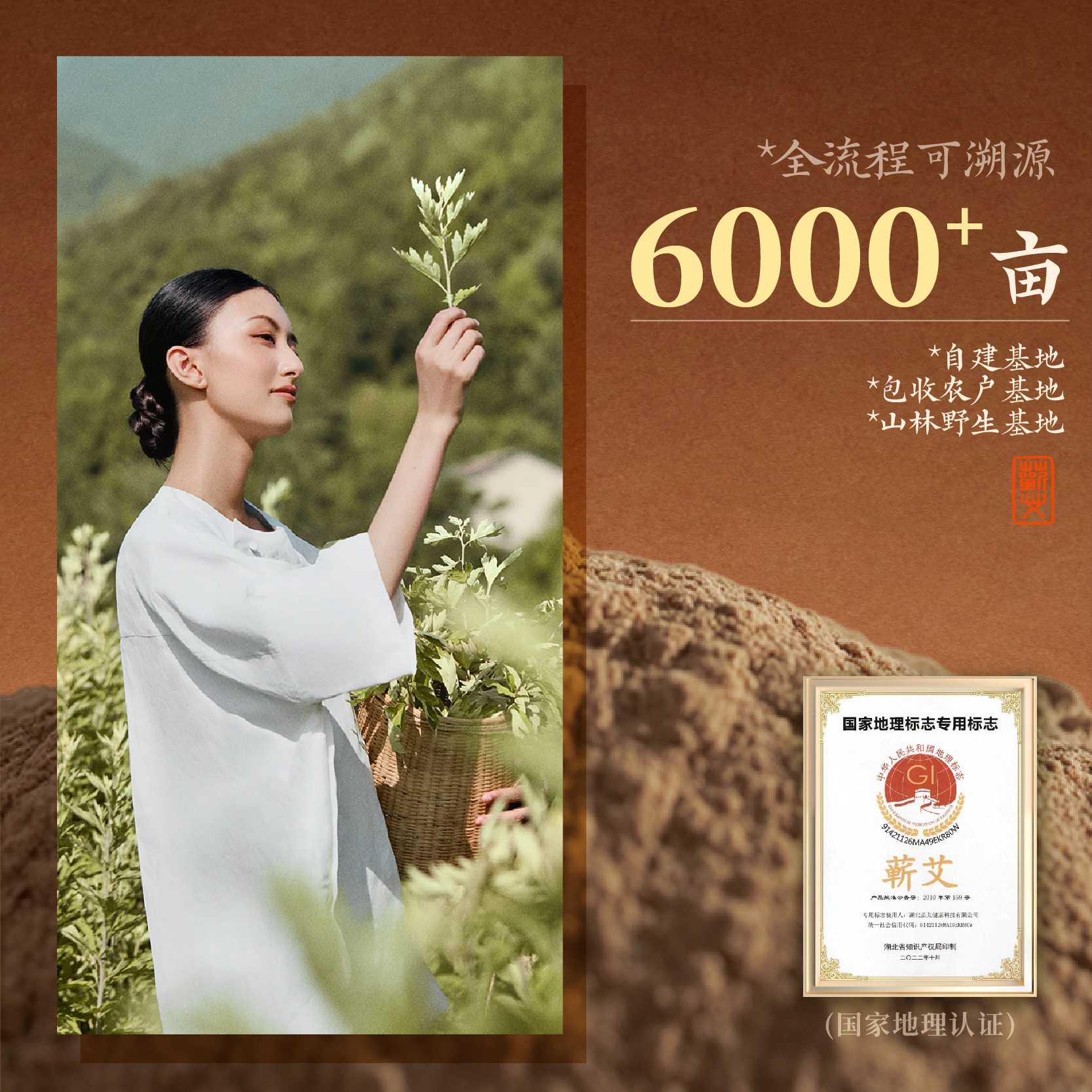 茧艾正品艾柱短艾条家用三年陈手工蕲春纯艾草艾叶艾灸官方旗舰店,淘宝优惠券,粉丝福利购,淘宝优惠卷