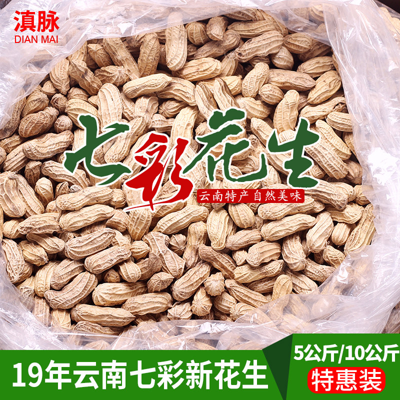 滇脉云南七彩带壳炒熟新鲜生花生 滇脉花生