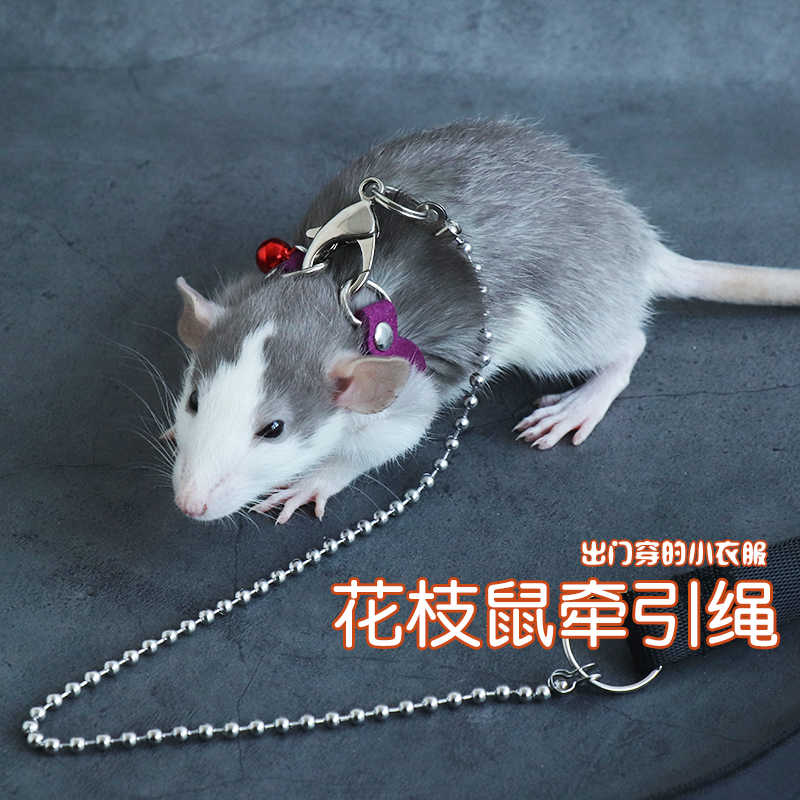 花枝鼠梯 新人首单立减十元 22年7月 淘宝海外