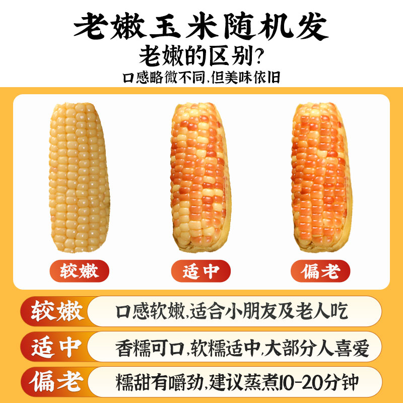 买1送1云南西双版纳香糯小玉米新鲜 真空即食粘花糯甜傣族糯玉米 - 图2