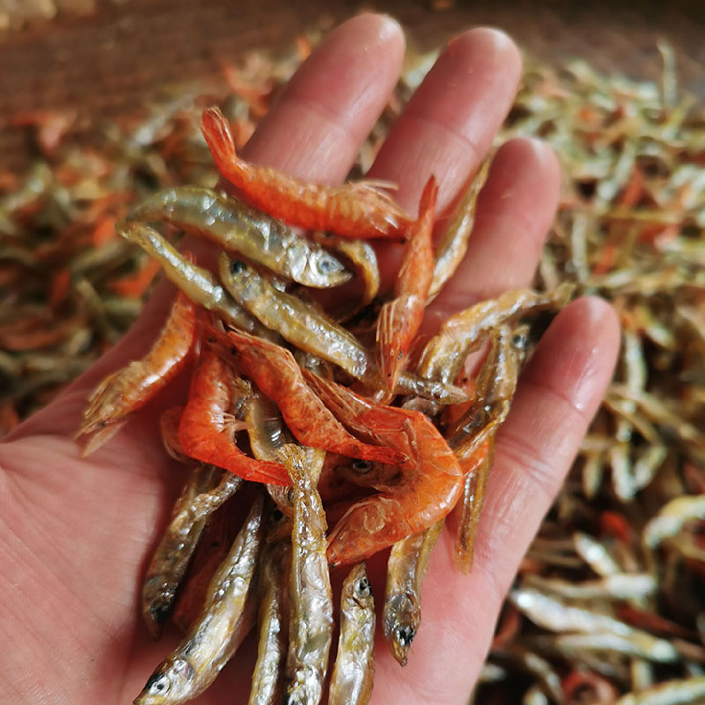 小鱼小虾混装湖南特产淡水无盐小鱼干河虾干农家自制小鱼仔虾米干,淘宝优惠券,粉丝福利购,淘宝优惠卷