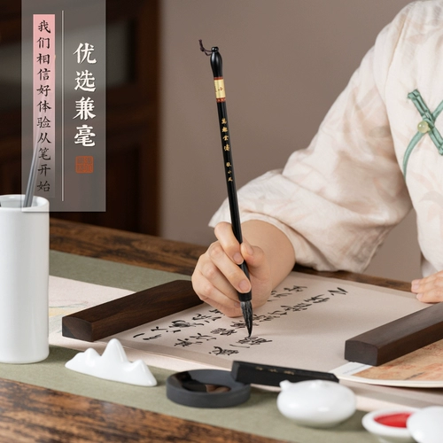 张小凤 Кисть для письма, профессиональный высококлассный комплект, коробка для хранения для школьников, подходит для начинающих, Франция, подарок на день рождения