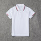 Primary school uniform suit short sleeve summer shorts