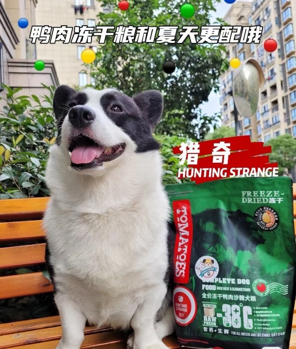 临期狗粮自然馈赠臻粹嗗达顽皮麦富迪比乐猎奇冻干狗粮美毛低脂 - 图0