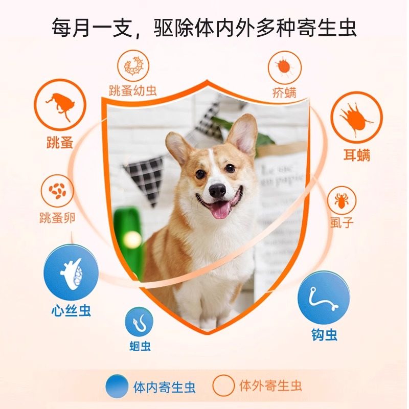 图 3