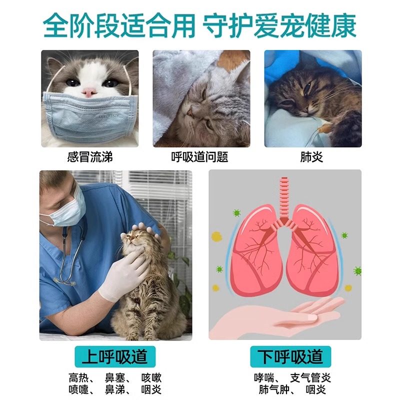宠物雾化箱猫咪狗狗猫鼻支专用吸氧箱氧气箱折叠透气雾化机雾化仓,淘宝优惠券,粉丝福利购,淘宝优惠卷