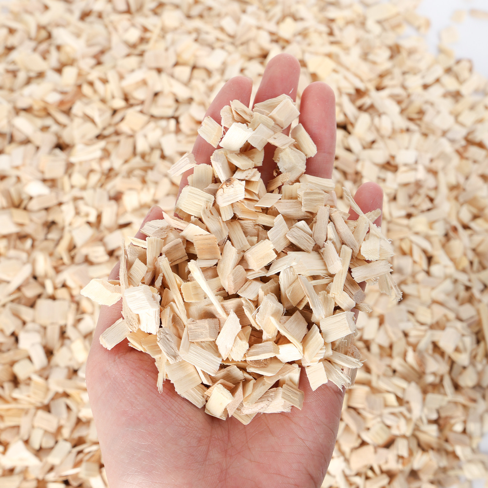 爬宠宠物蛇垫材白杨木屑玩具蛇蛇类饲养箱专用垫材柔软吸湿无尘,淘宝优惠券,粉丝福利购,淘宝优惠卷