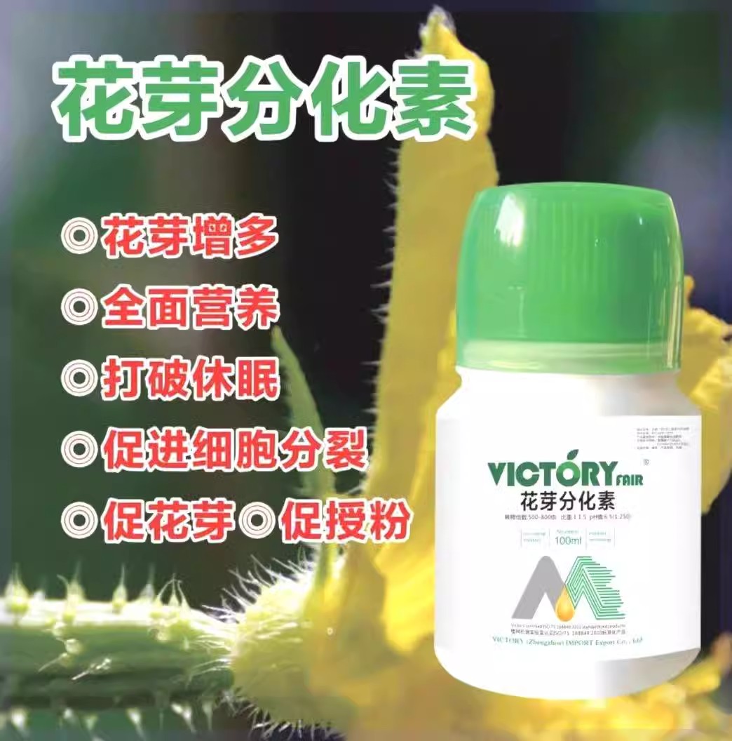 VICTORY FAIR维柯托瑞花芽分化素授粉开花现蕾分化细胞分裂果树y - 图0